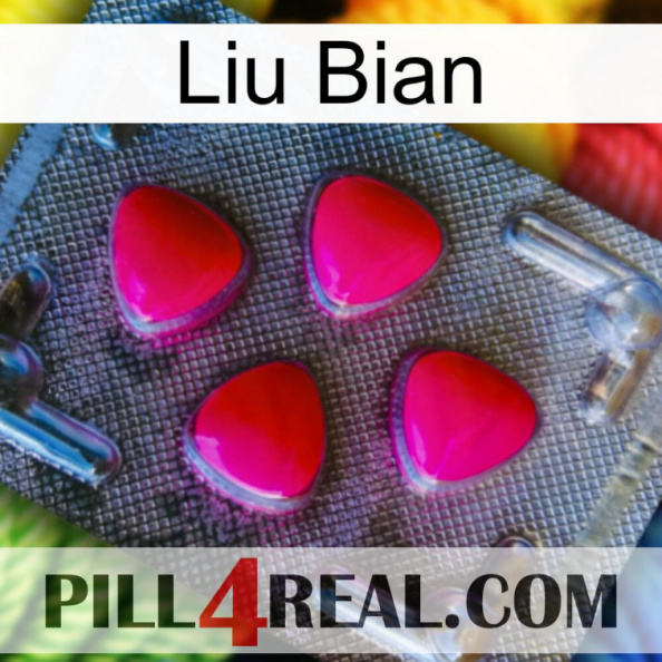 Liu Bian 13.jpg